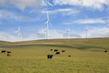 Energy Conservation in Agriculture Image